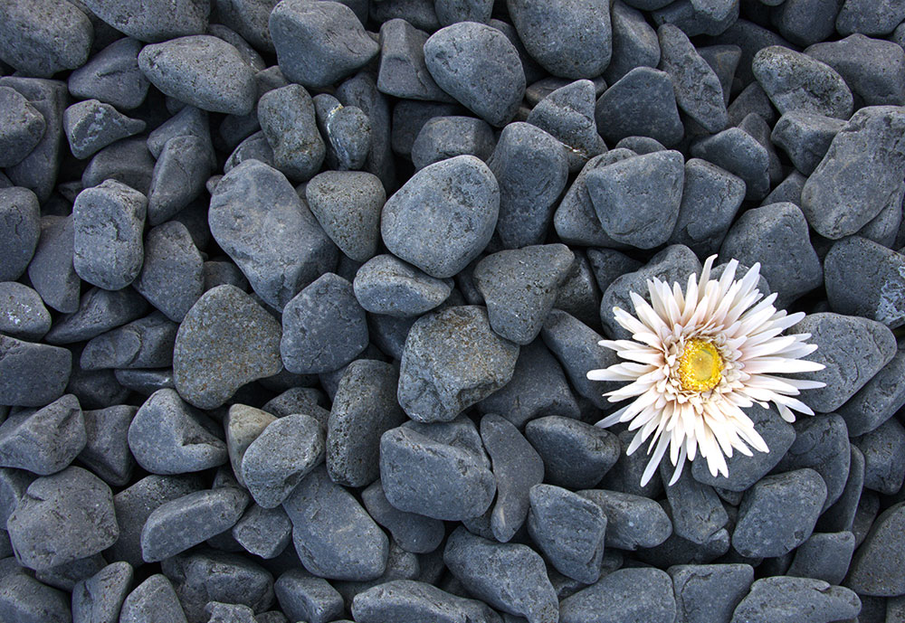 Kamen oblutak crni 3-5 cm 25 kg